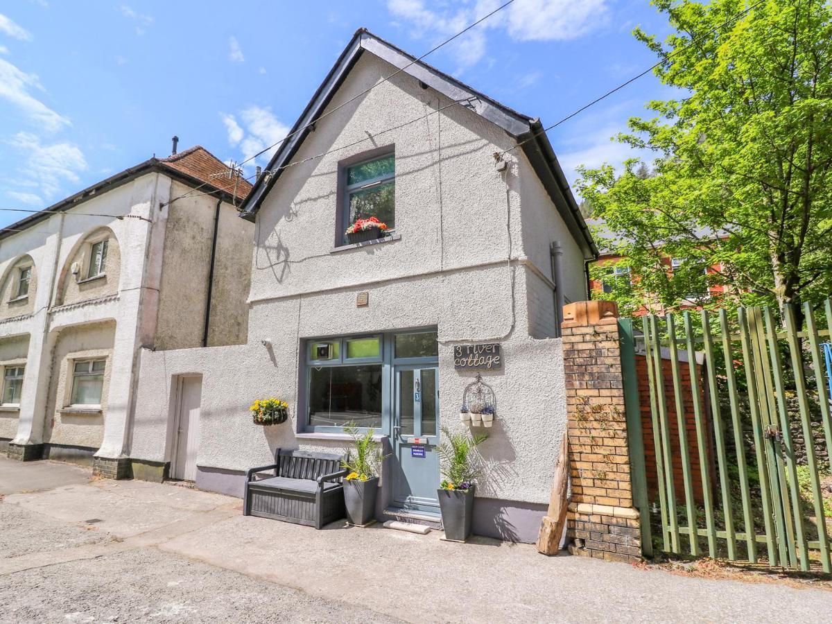 River Cottage Port Talbot Exterior foto